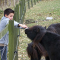 100_0510.jpg